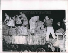 1950 Press Photo Winnepeg Flood Workers load bales of hay