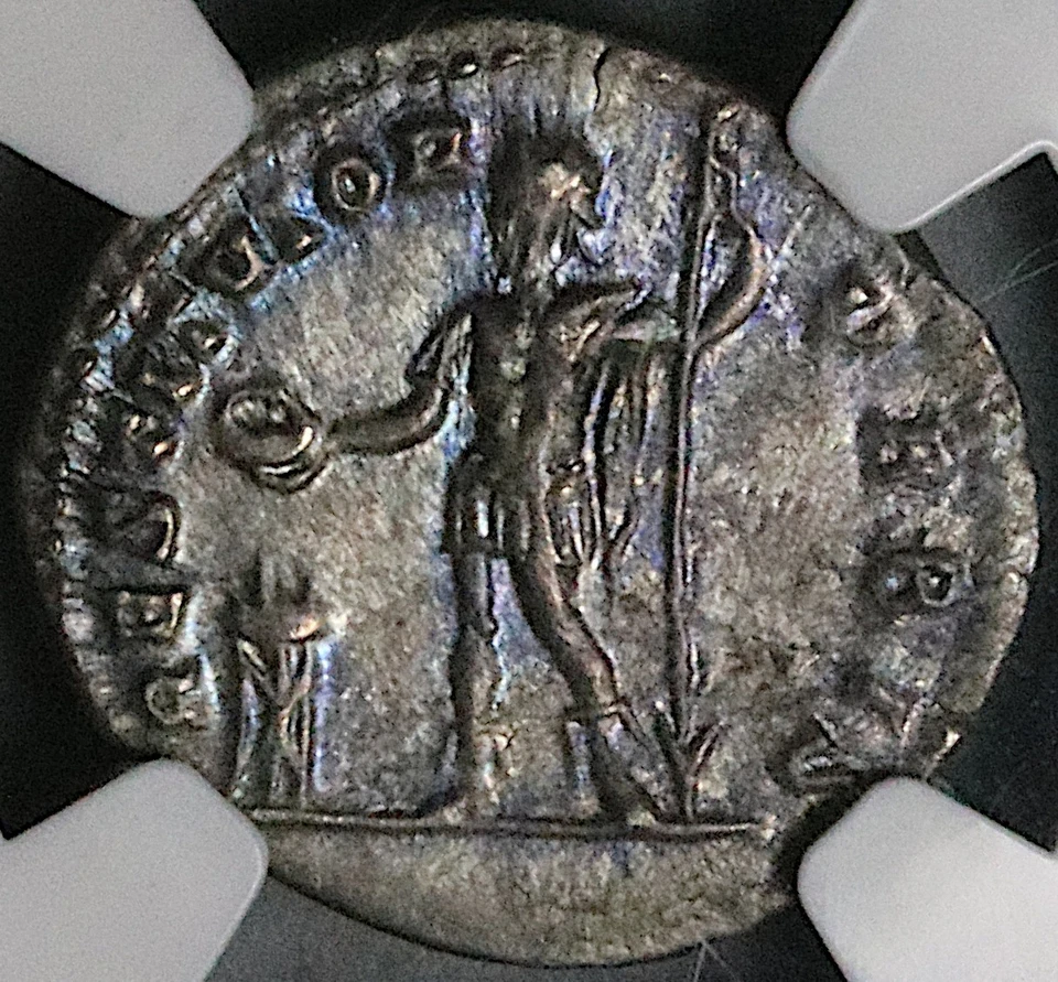 200 NGC AU Sept Severus Roman Denarius Emperor Sacrificing 5/5 5/5 (25100803C) - Image 3 of 4