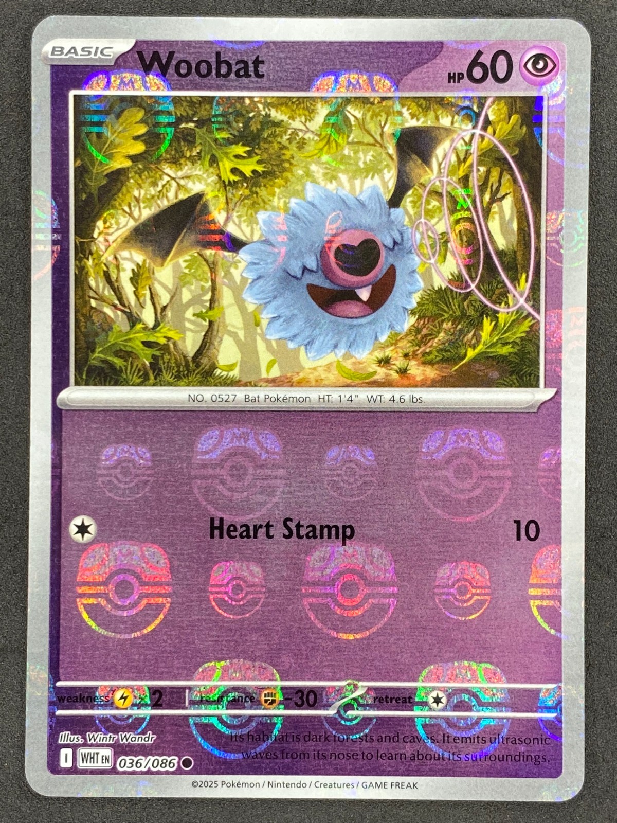 Pokémon Woobat Master Ball Reverse 036/086 WHT White Flare NM