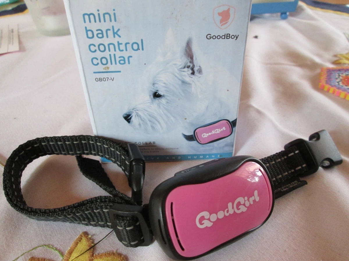 Antibellhalsband fr Kleine Hunde online kaufen | eBay.de