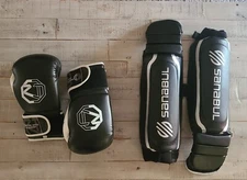 Muy Thai Gloves And Shin Guards