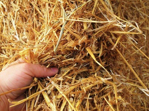 2kg Barley Straw 100% Biodegradable Pet Food Bedding for Small Animals - Picture 4 of 4