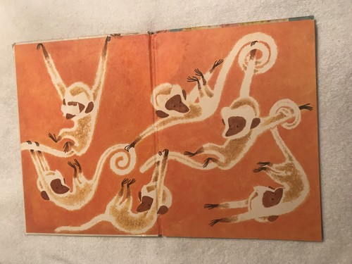 THE WILD & WOOLY ANIMAL BOOK Nita Jones Illust: Dale Maxey 1961 Random House - Picture 4 of 12