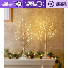 2FT LED Birch Tree Lamp - Warm White Light, Battery Powered, Timer, 2PK - Christ
