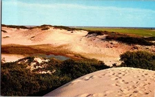 Cape Cod Massachusetts MA : NATURE SCENE d/13 AW9645