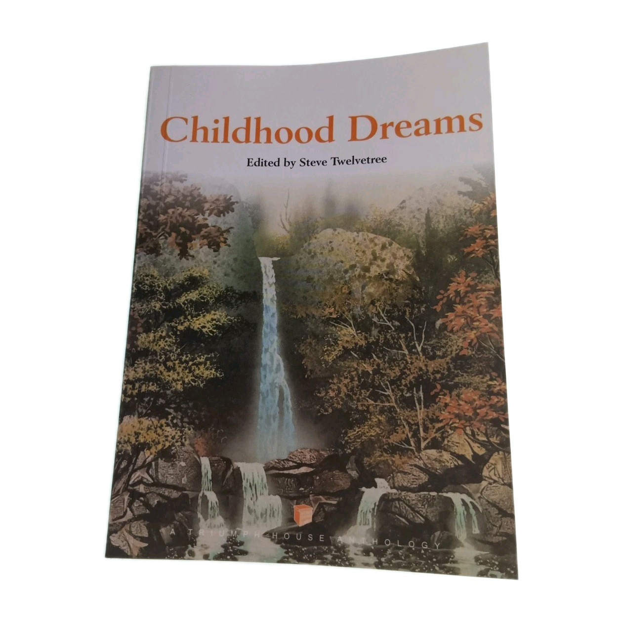 Childhood Dreams Steve Twelvetree 1999 Paperback Book