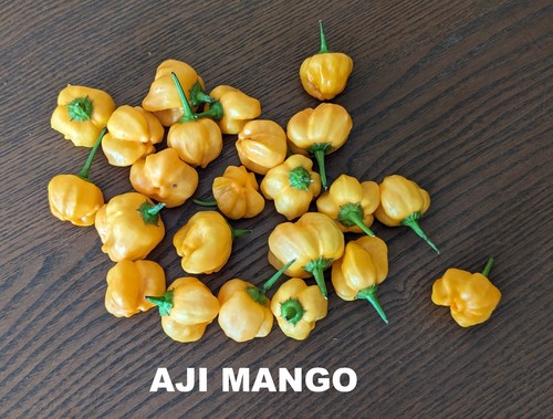SEED- Hot Pepper Aji Pineapple  Aji Mango Aji Strawberry Drop Spicy Hot Sauce - Bild 16 von 26
