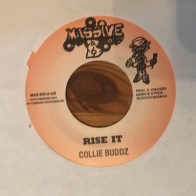 Coolie Buddz - Rise It 7'', (Jamaica Vinyl) JA Pressing /Da Go Go Riddim Bermuda