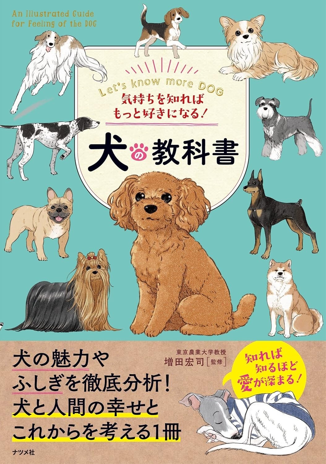 If you know how to feel, you'll love it more! Dog Textbook　Japan Book New F/S