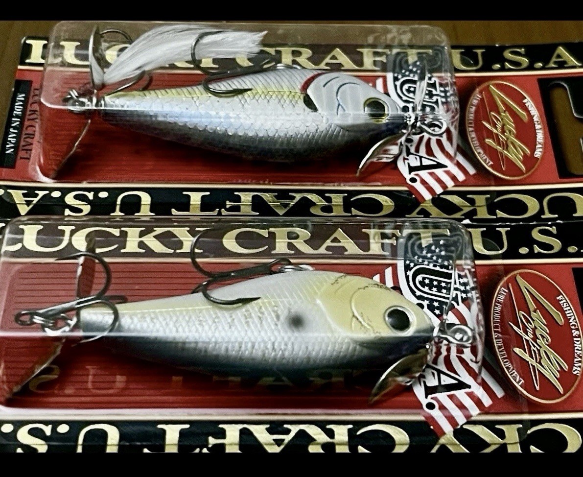 2 Lucky Craft Kelly J Prop Bait Topwater Lures ZEBRA MS CHART SHAD/GOLDTHREADFIN - Image 3