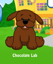 Webkinz Classic Chocolate Lab Virtual Adoption Code Only MESSAGED