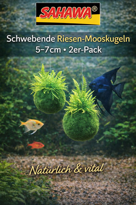 2er-Pack Schwebende Riesen-Mooskugeln 5 7 cm mit Farn   Aquarium Highlight