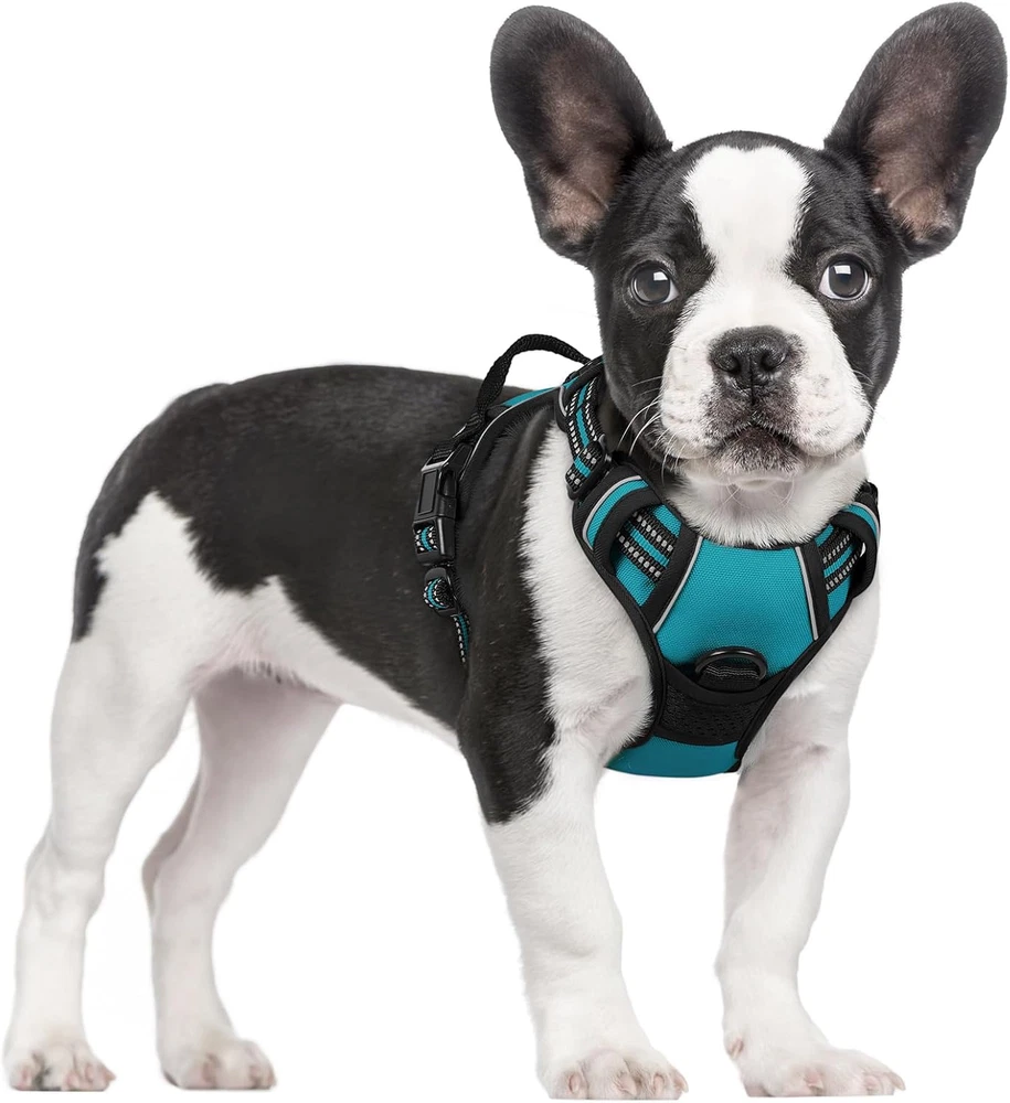 Dog Harness No Pull with 2 Leash Clips, Adjustable Soft Padded, Reflective Oxfor
