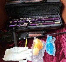 EASTAR Flute With Carry Case Purple Colour, Great Condition. Untested.