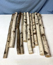 10 pc Natural Birch Wood Branch Sticks for Crafts D cor Firewood Carving Floral