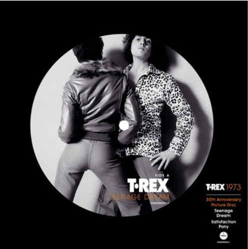T-REX 7" Teenage Dream PICTURE DISC 1000 Made 50th Anniversary 2024 MAILS SAME D - Picture 8 of 10