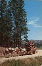 Nemo, South Dakota SD Nemo Stage, Guest Ranch Chrome Original Vintage Postcard