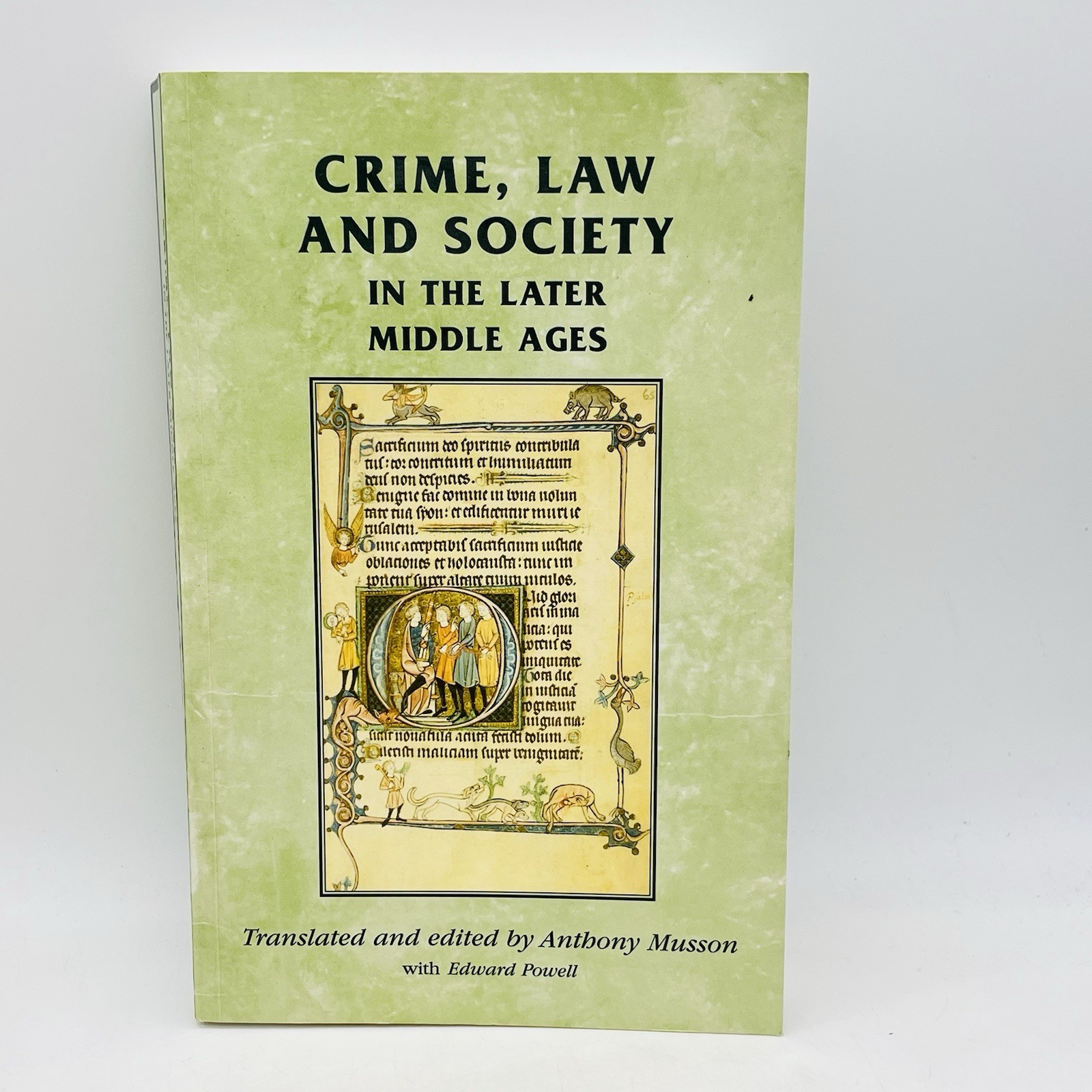 Crime, Law and Society in the Later Middle Ages Book