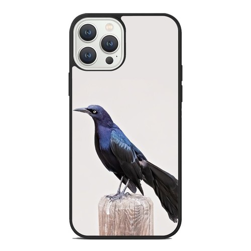 For iPhone SE XS XR Max 5 6 7 8 Plus Quiscalus boat tailed grackle Case Friendly - Picture 4 of 25
