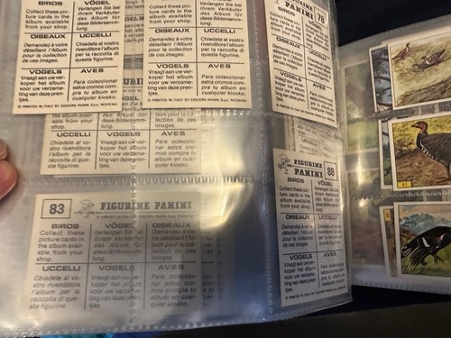 PANINI BIRDS : RARE COLLECTION OF LOOSE STICKERS 1-300 COMPLETE ALL IN VGC 1979 - Picture 5 of 10