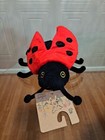 Foto 2 di 4