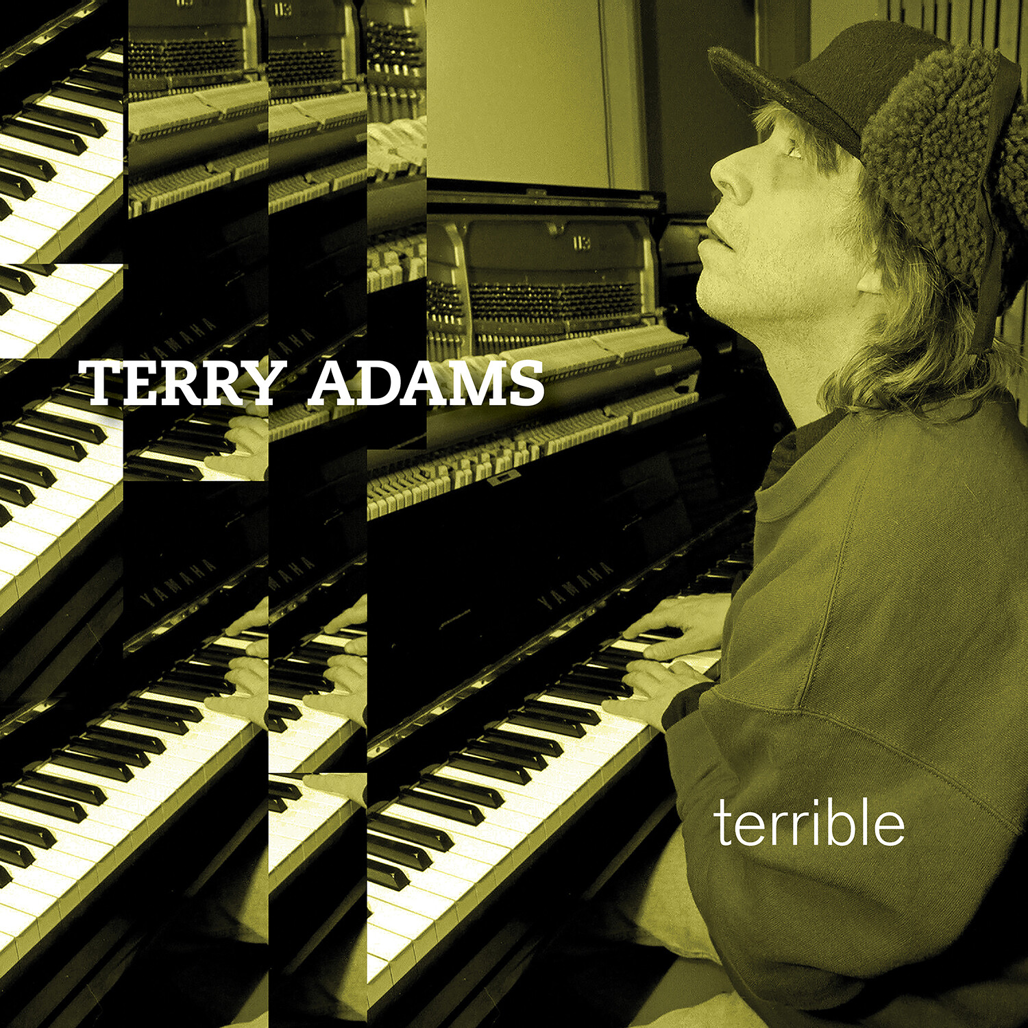 Terry Adams Terrible (Vinyl LP) Bonus Tracks  12" Album