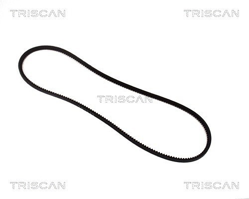 Triscan Keilriemen U.A. FüR Audi, Austin, Autobianchi, Bmw, CitroËN, Daihatsu-image