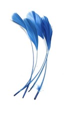 Long Fascinators Feathers Stripped Coque Millinery Hats Trimmings Coloured Craft