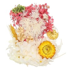 Natural Dried Flower Set, Dried Pressed Flowers White Rose Red 