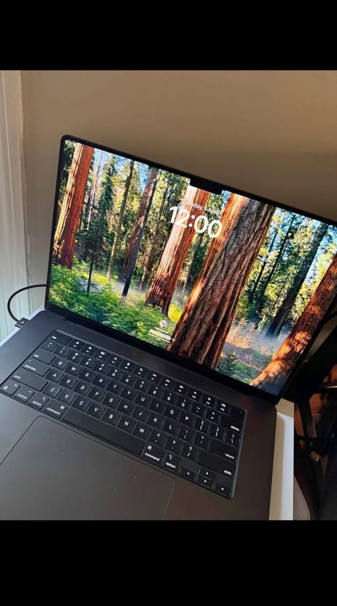 💻 16-inch MacBook Pro (M4 Pro, 48GB RAM, 512GB SSD) | eBay