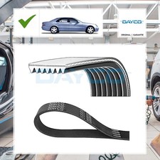 Keilrippenriemen Dayco f&uuml;r Mercedes-Benz S-Class W220 