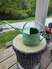 Burpee Vintage Teal Pastel Indoor Plant Watering Can Long Spout