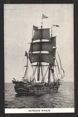 Unposted Sail Ship Outbound Whaler Whaling Museum New Bedford MA Postcard Vtg