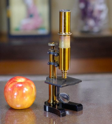 Antique Ernst Leitz Stand V Microscope 1873 Early Rare Wetzlar