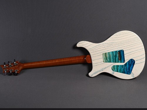 Paul Reed Smith Privat Stock PS#10527 Personalizado 24 Beach Cross Fade - Imagen 17 de 19