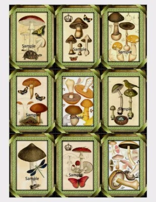 Mushroom Mushrooms Toadstool 9 x Gift Tag Tags Craft Card Topper Garden Journal - image 1 of 2