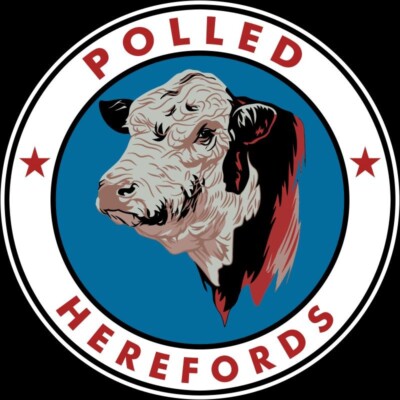 Polled Hereford Cows, Steers NEW Sign: 24'' Diameter Round USA Steel