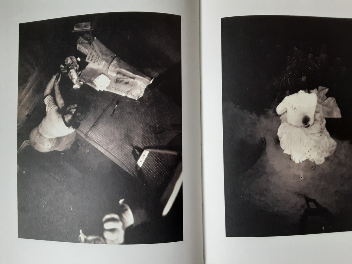 HARMS WAY Joel-Peter Witkin 洋書　写真集 Harms Way: Lust & Madness, Murder & Mayhem : A Book of