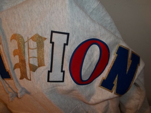 CHAMPION REVERSE WEAVE SPELL-OUT LETTERS HOODIE HOODED SWEATSHIRT Large - Picture 6 of 11