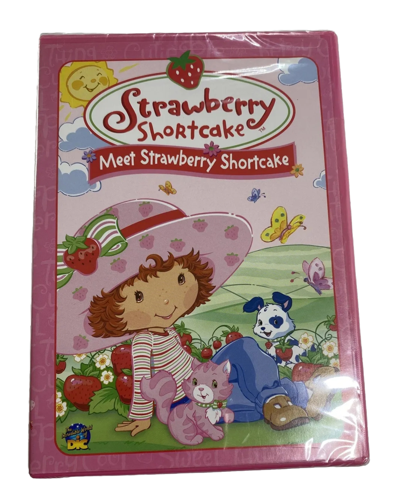 Strawberry Shortcake - Meet Strawberry Shortcake (DVD) for sale online