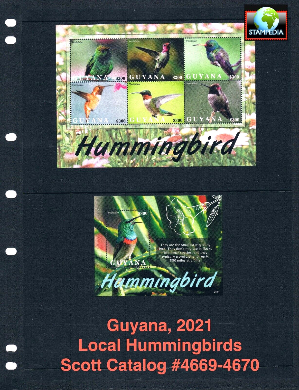 $25.25 Scott Value - 2021 GUYANA Hummingbirds 2 s/s Birds Amazon CV MNH NH UMM