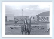 Antigua foto vintage NIÑO NIÑA SENTADO EN BURRO ESTATUA SALTANDO CACTUS LETRERO DE MADERA