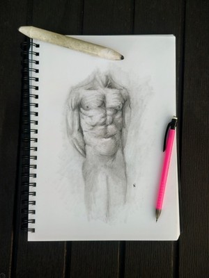 A4 Original Torso Skizze signiert Illustration in Bleistift. OOAK.