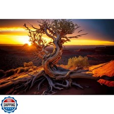 Desert Reptile Habitat Background Dead Tree Sunset Desert Terrarium Backgroun