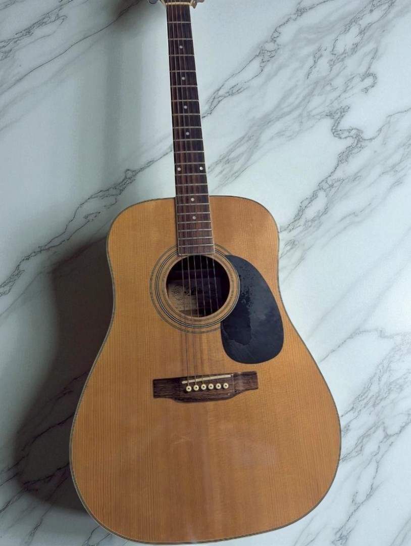 Aria　ADW-250 Aria ADW-250 Acoustic Guitar 12-String Spruce Top Mahogany
