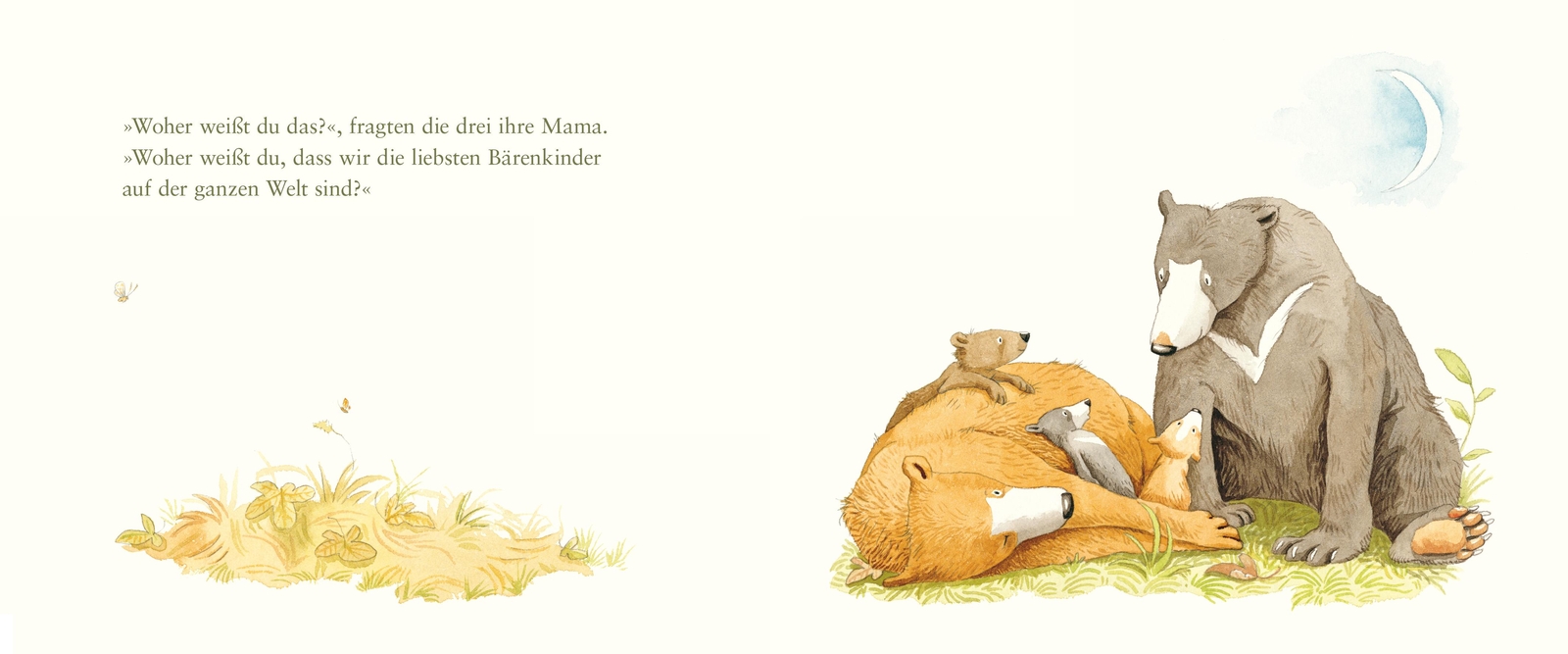 Thumbnail - Wen Hast Du Am Allerliebsten?, Sam Mcbratney