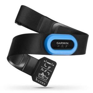 garmin epix ebay