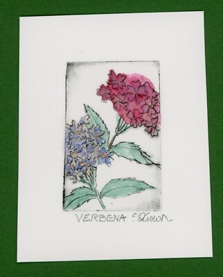VERBENA Garden Flowers. Original Botanical Watercolor ETCHING signed