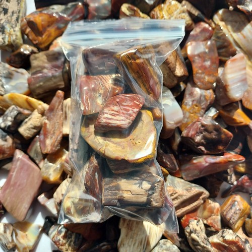 Heber, Utah Petrified Wood Tumbled Stones - Tumbled Gemstones Bulk - Picture 15 of 32
