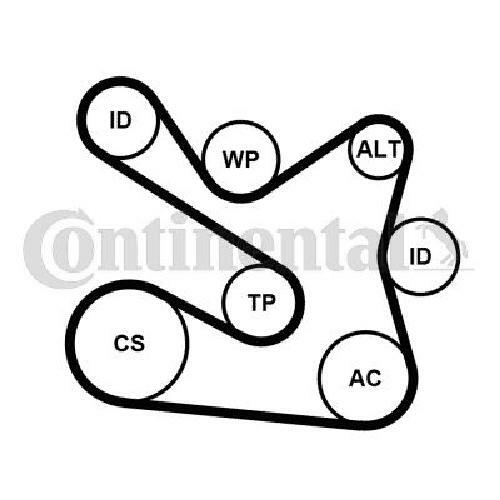 Original Continental Ctam Keilrippenriemensatz 7PK1605K1 FüR Dacia Renault-image